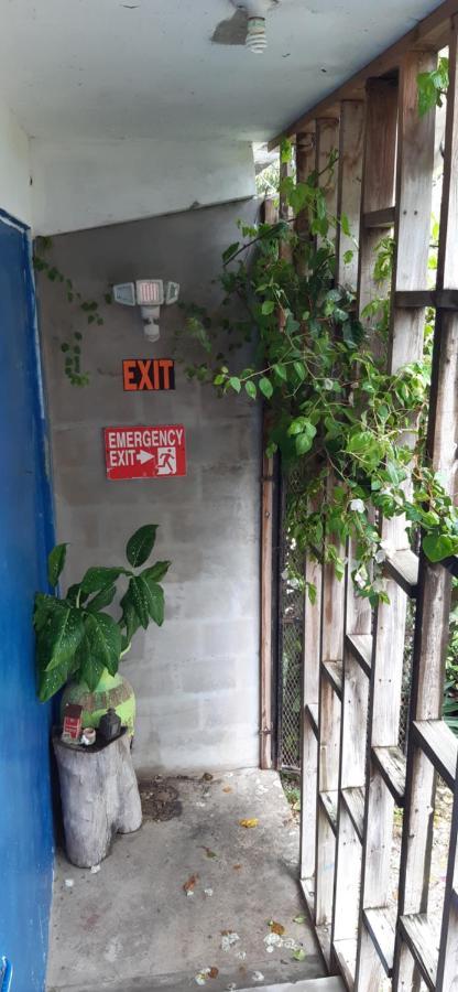 Casa Ricky'S Hostel Orange Walk Town ภายนอก รูปภาพ